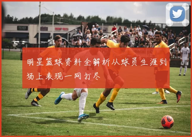 明星篮球资料全解析从球员生涯到场上表现一网打尽