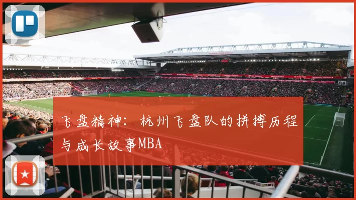 飞盘精神：杭州飞盘队的拼搏历程与成长故事MBA