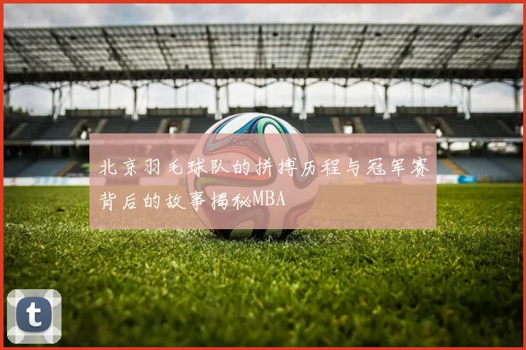 北京羽毛球队的拼搏历程与冠军赛背后的故事揭秘MBA
