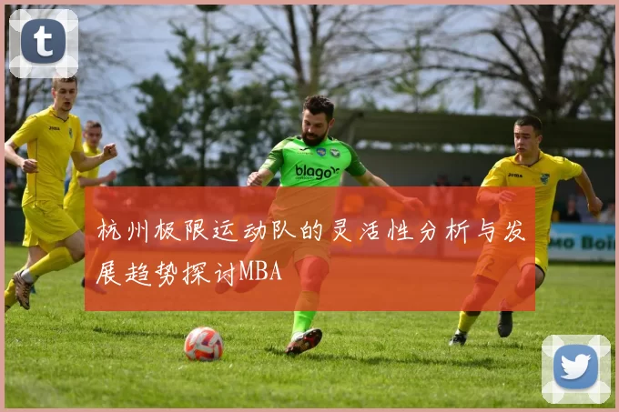 杭州极限运动队的灵活性分析与发展趋势探讨MBA