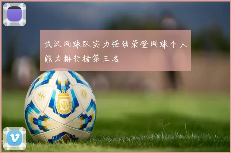 武汉网球队实力强劲荣登网球个人能力排行榜第三名