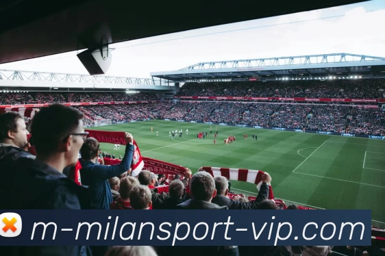 米兰体育.com发展历程